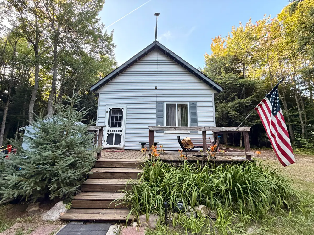 22698 Nelson Trl, Newberry, MI 49868 - #1