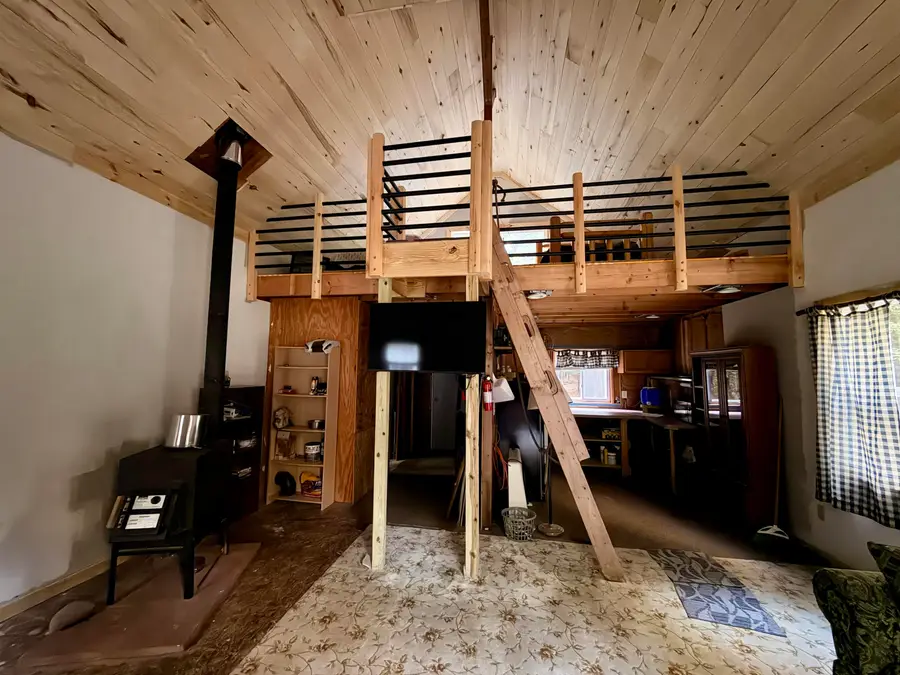 22698 Nelson Trl, Newberry, MI 49868 - #2