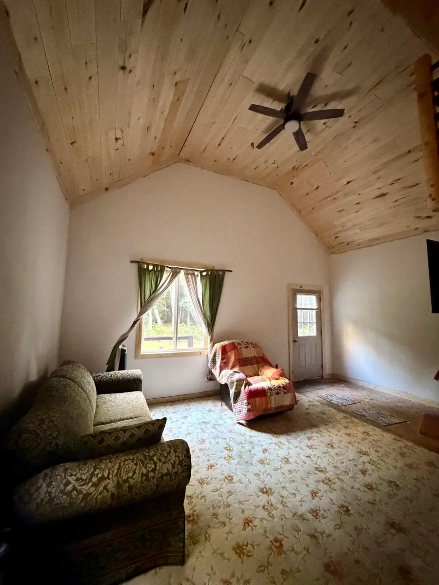 22698 Nelson Trl, Newberry, MI 49868 - #3