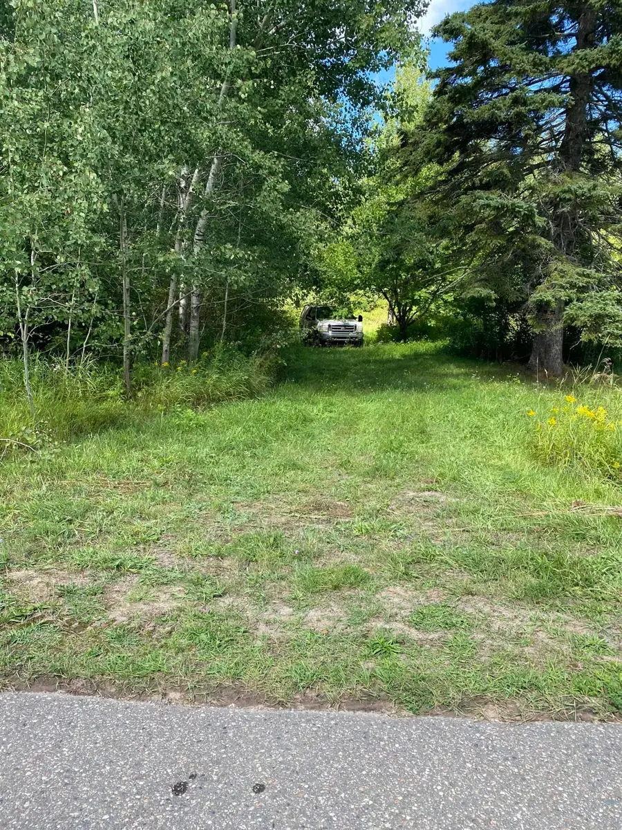 7213 E 6 Mile Rd, Sugar Island, MI 49783 - #2