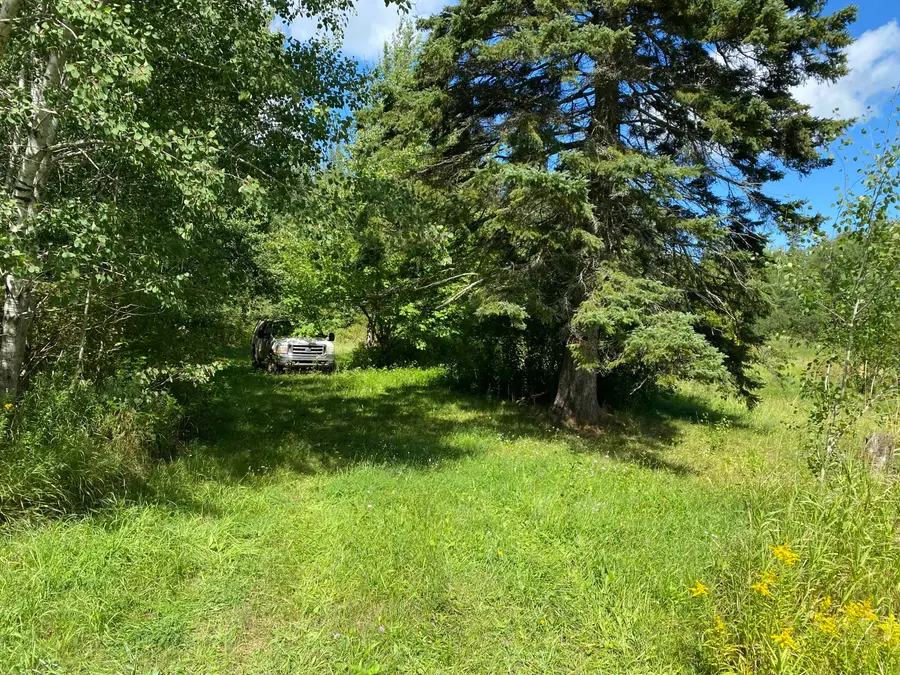 7213 E 6 Mile Rd, Sugar Island, MI 49783 - #3