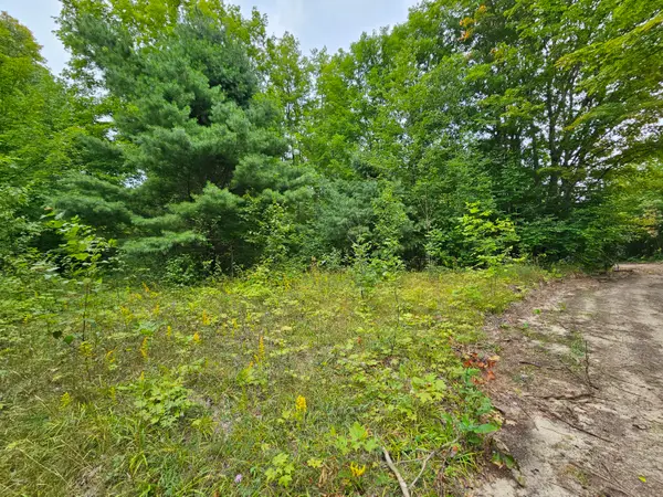Lot H H-33, Gould City, MI 49838