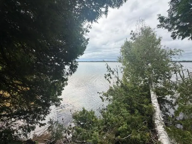 TBD E North Caribou Lake Rd, Detour, MI 49725 - #2