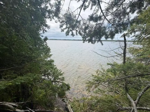 TBD E North Caribou Lake Rd, Detour, MI 49725 - #3