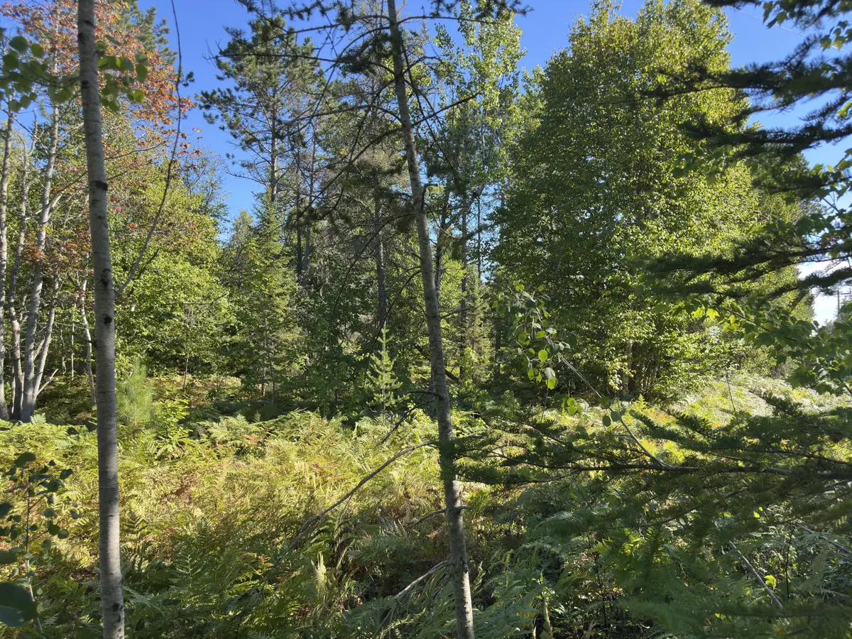 15796 N Whitefish Point Rd, Paradise, MI 49768 - #1