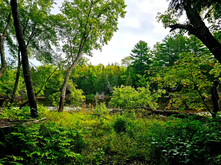 00 Smith Rd, Newberry, MI 49868 - #2