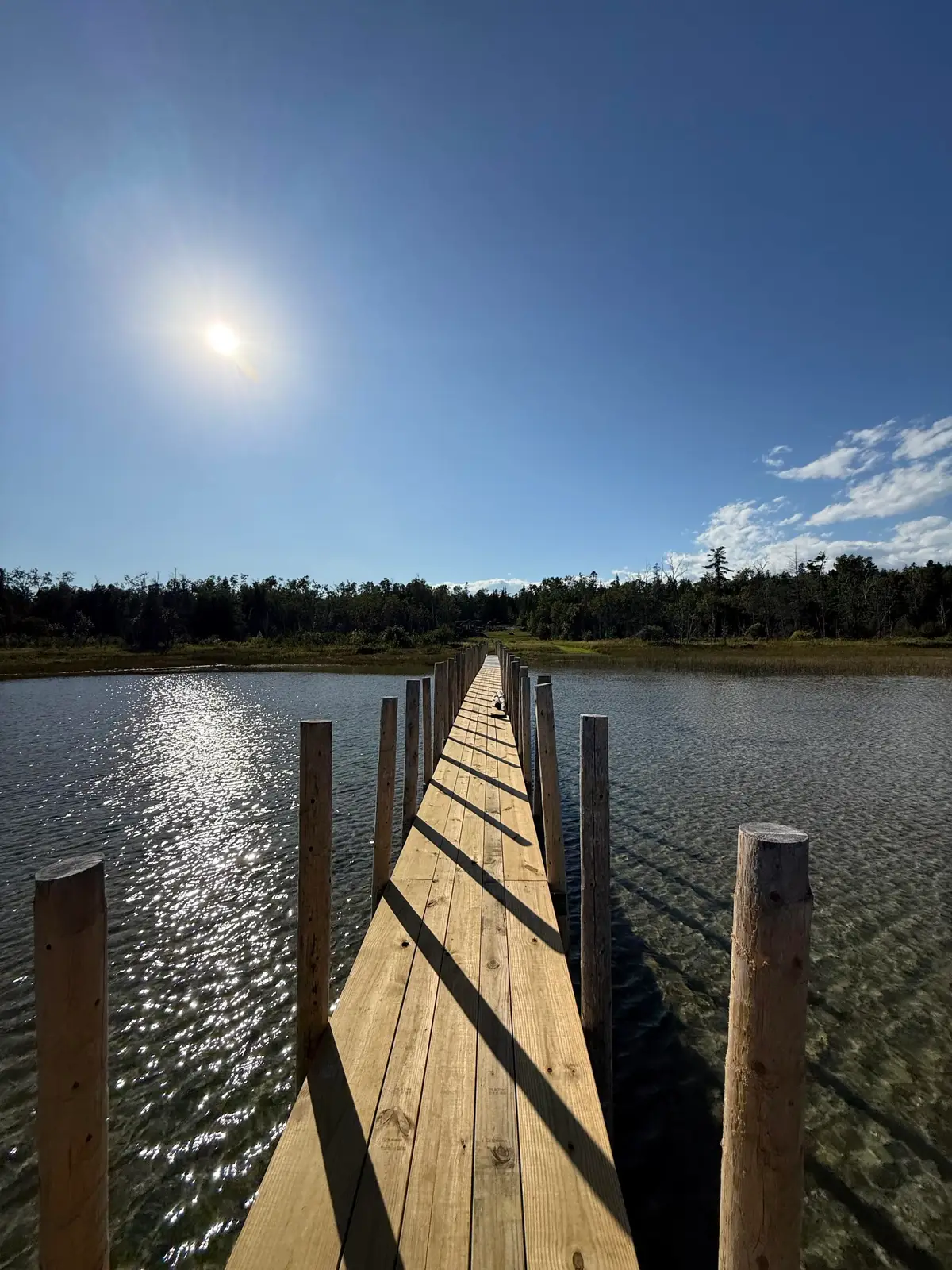 1979 S Point Brulee, Hessel, MI 49745 - #1