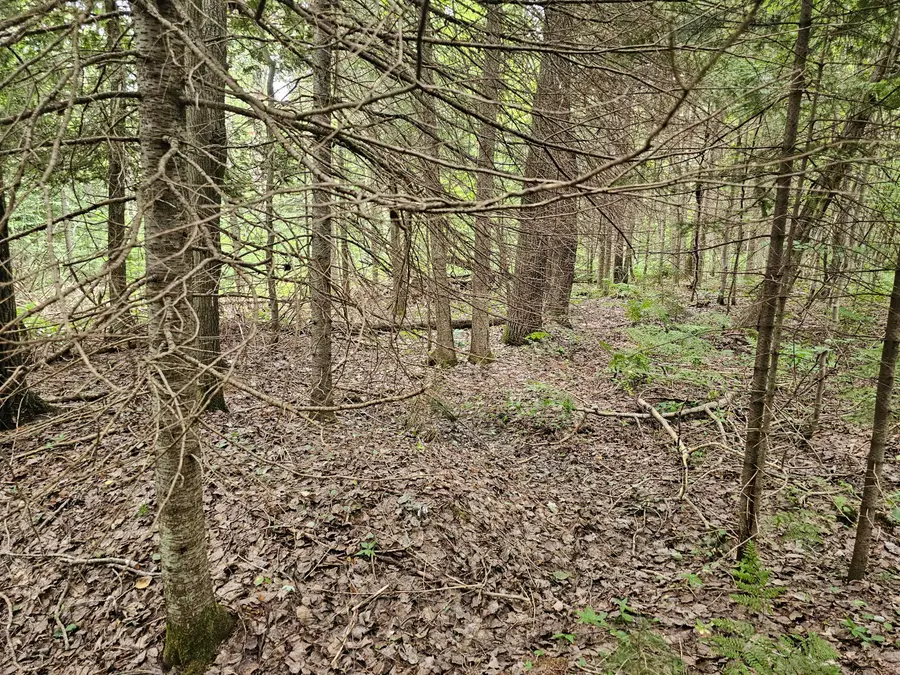 00 W County Road H-40, Trout Lake, MI 49793 - #2