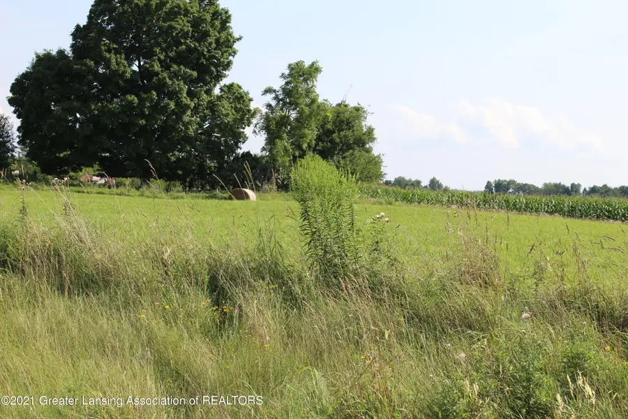 0 Pinebluff Dr., Parcel O, Charlotte, MI 48813 - Image #3
