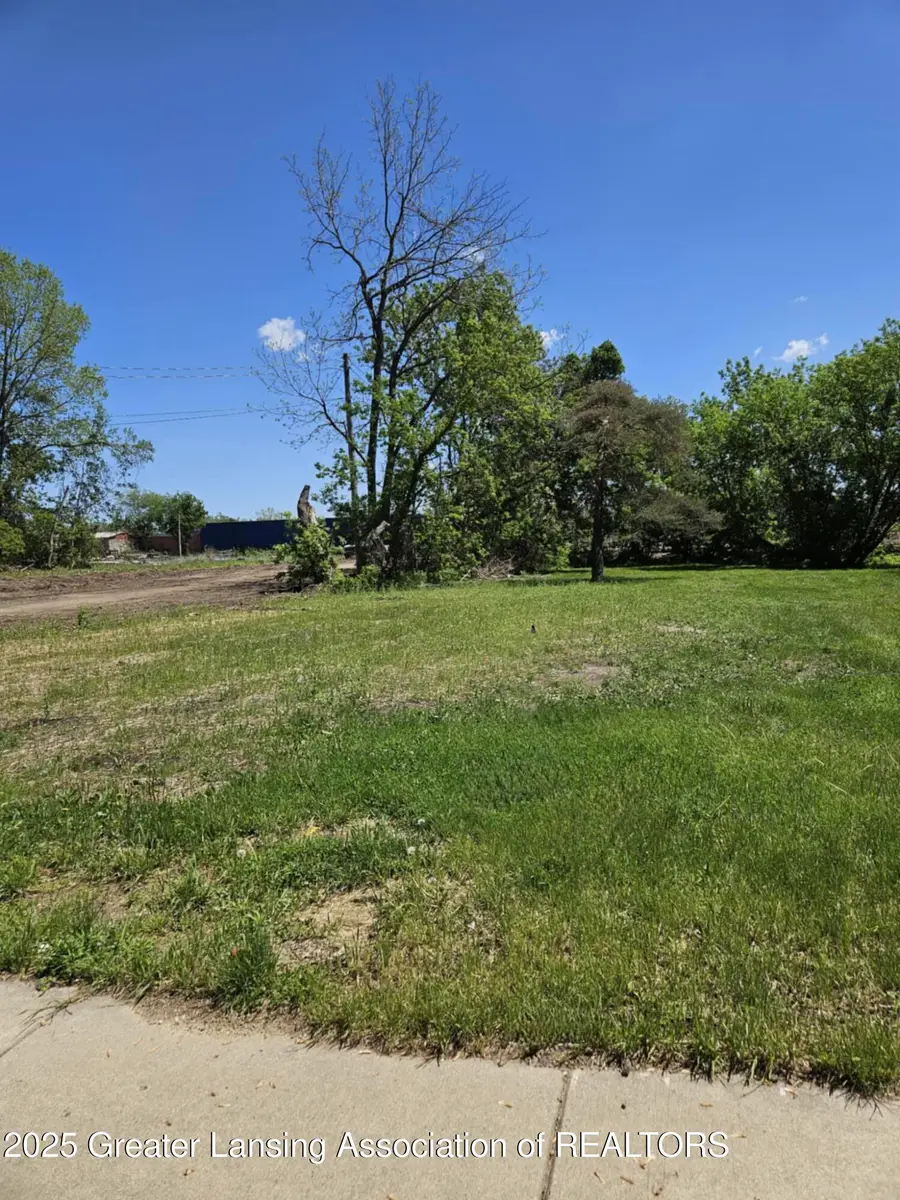 V/L (1036) N Larch Street, Lansing, MI 48906 - Image #2