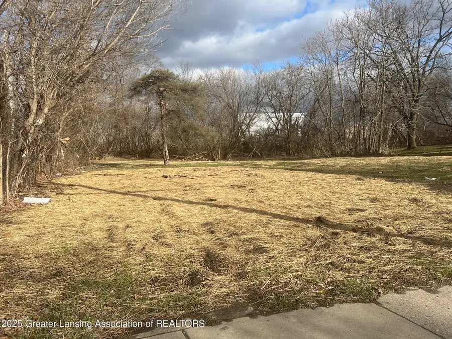 V/L (1036) N Larch Street, Lansing, MI 48906 - Image #3