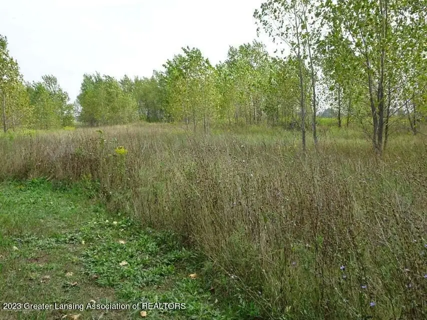 700 E Townsend Road, Saint Johns, MI 48879 - Image #2