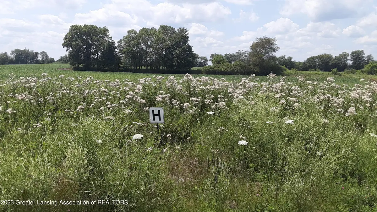 0 Montels Parcel H Way, Charlotte, MI 48813 - Image #1