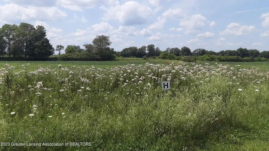 0 Montels Parcel H Way, Charlotte, MI 48813 - Image #2
