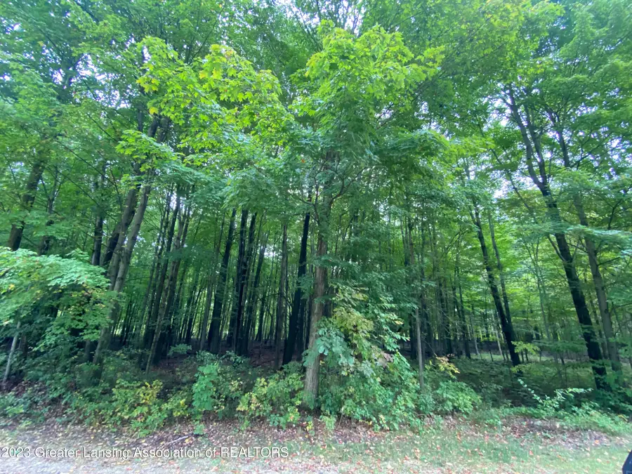 V/l #4 Brookshire Drive, Chesaning, MI 48616 - #3