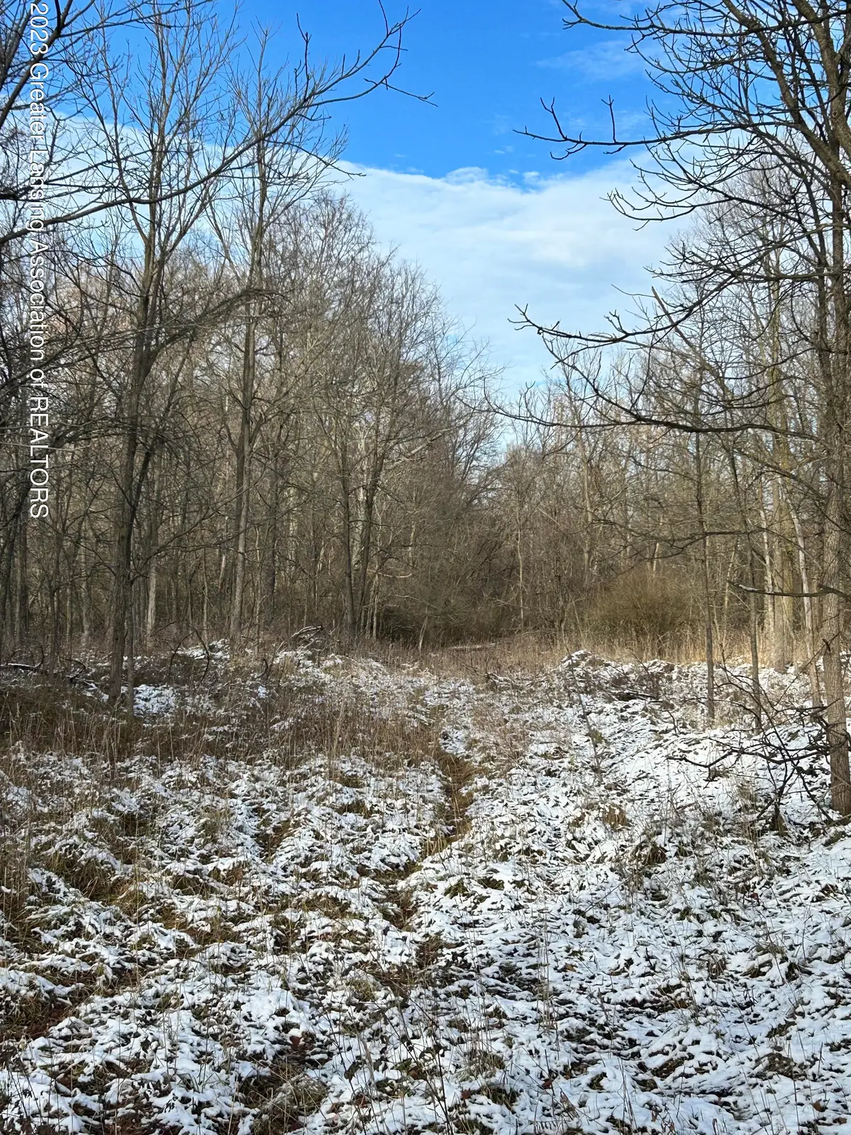 429 Sumpter Street, Charlotte, MI 48813 - Image #1