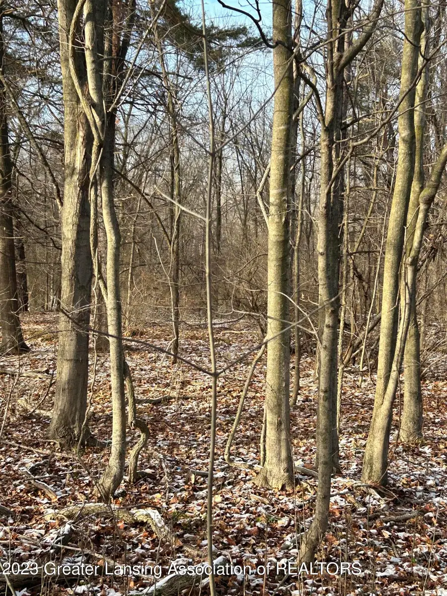 429 Sumpter Street, Charlotte, MI 48813 - Image #3