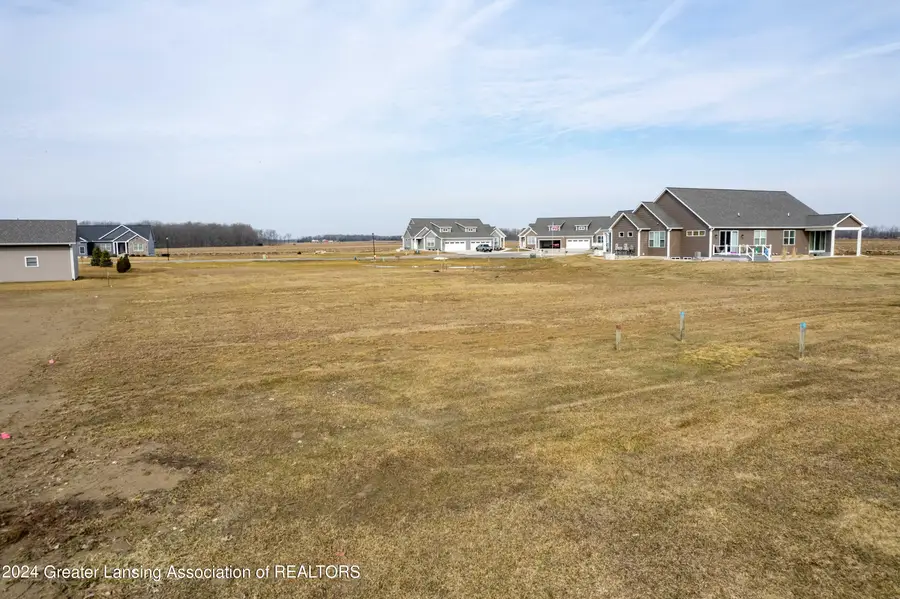 Lot 8 N Wright Road, Fowler, MI 48835 - Image #3