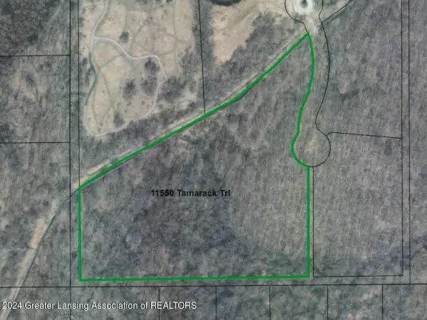 11550 Tamarack Trail, Bath, MI 48808