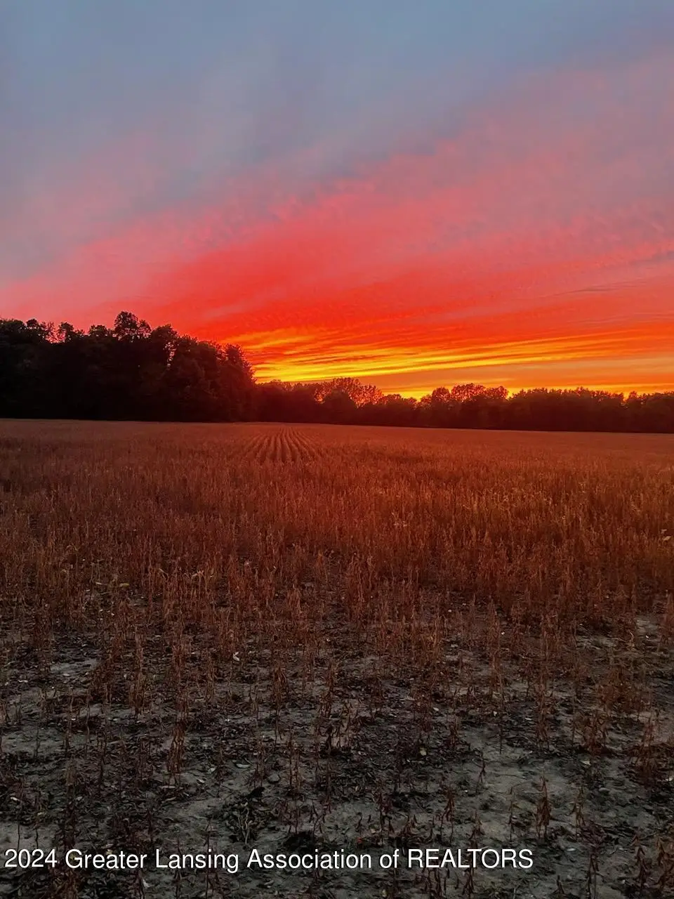 Address Withheld By Seller, Belleview, MI 48813 - #1