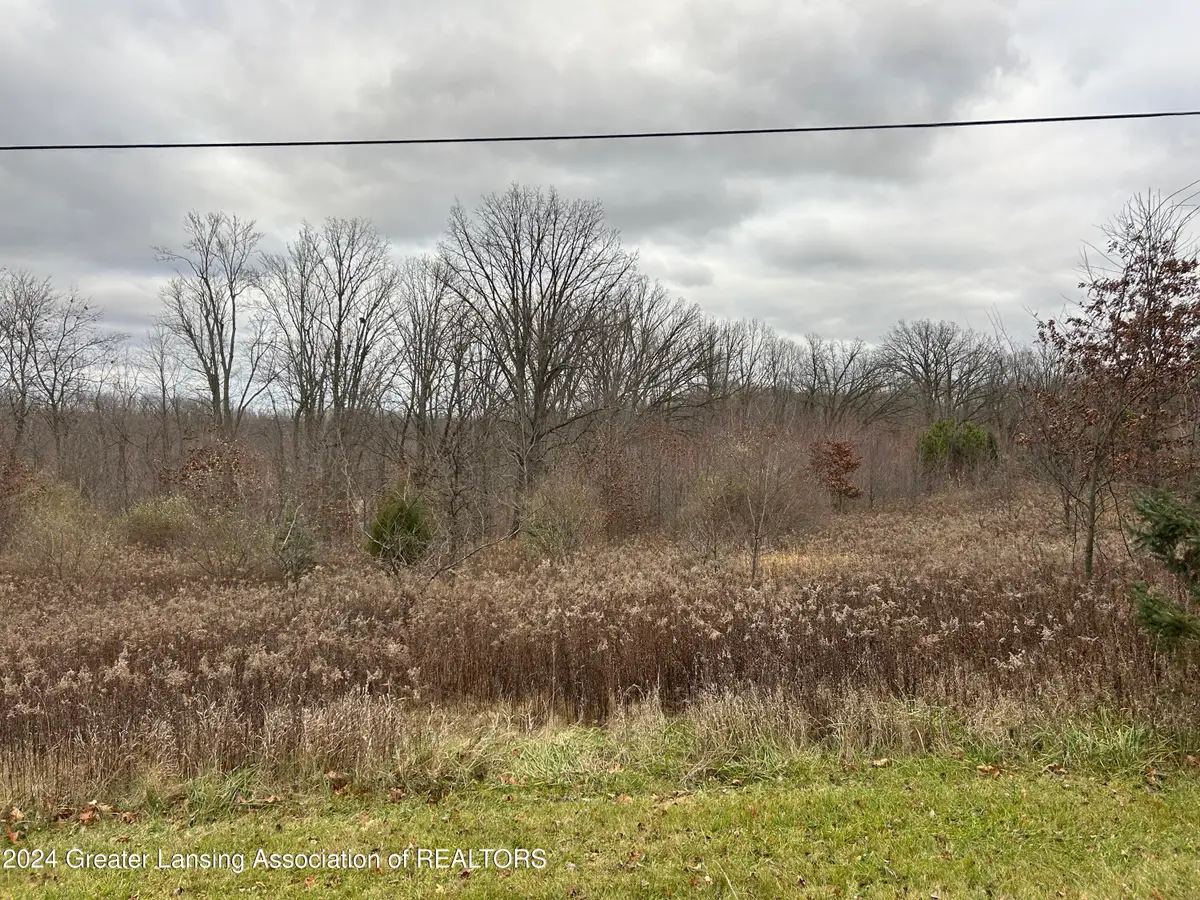 Vl S Ainger Road, Olivet, MI 49076 - Image #1