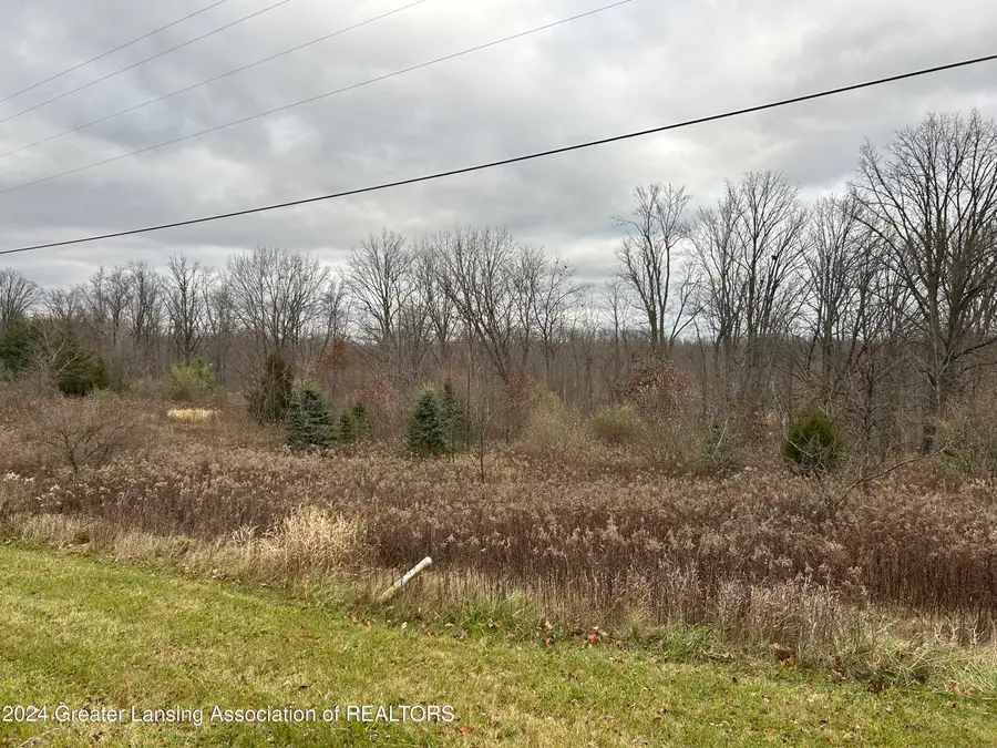 Vl S Ainger Road, Olivet, MI 49076 - Image #3