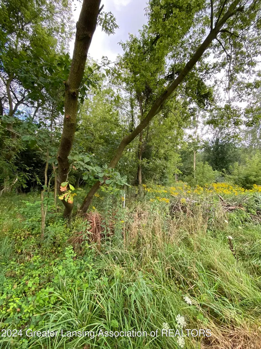 V/L W South Street, Owosso, MI 48867 - Image #2