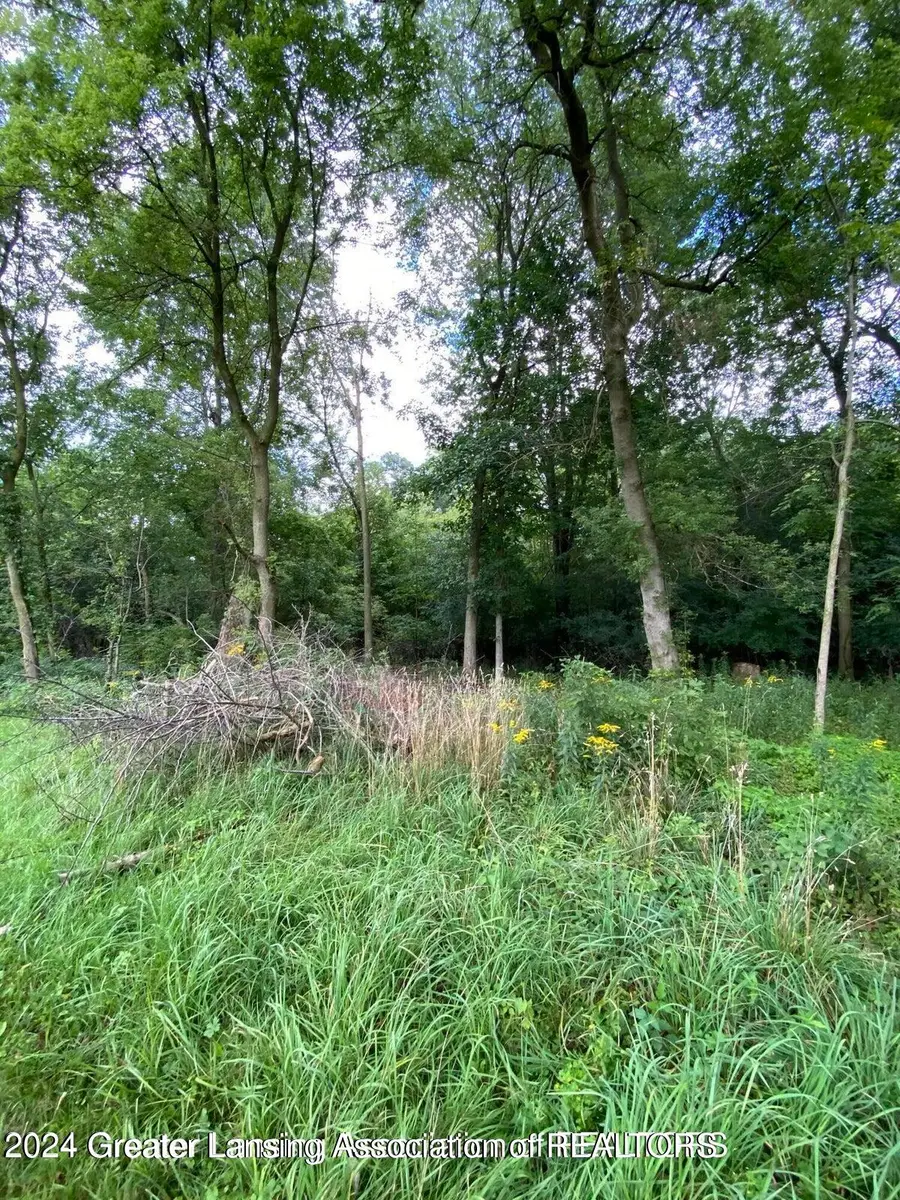 V/L W South Street, Owosso, MI 48867 - Image #3