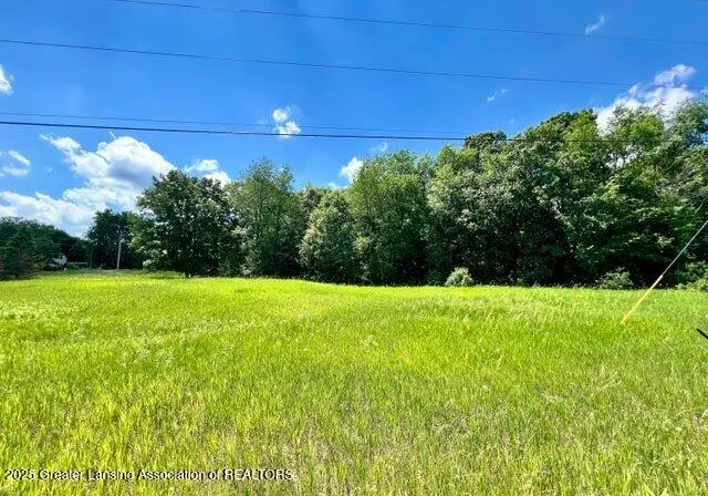 V/L S Shepardsville Road, Laingsburg, MI 48848 - Image #1