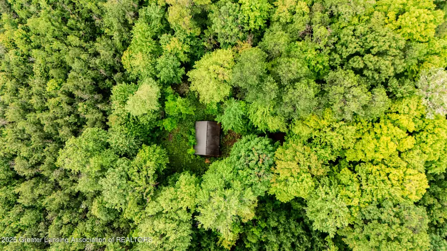 13505 7 Mile Road, Evart, MI 49631 - Image #3