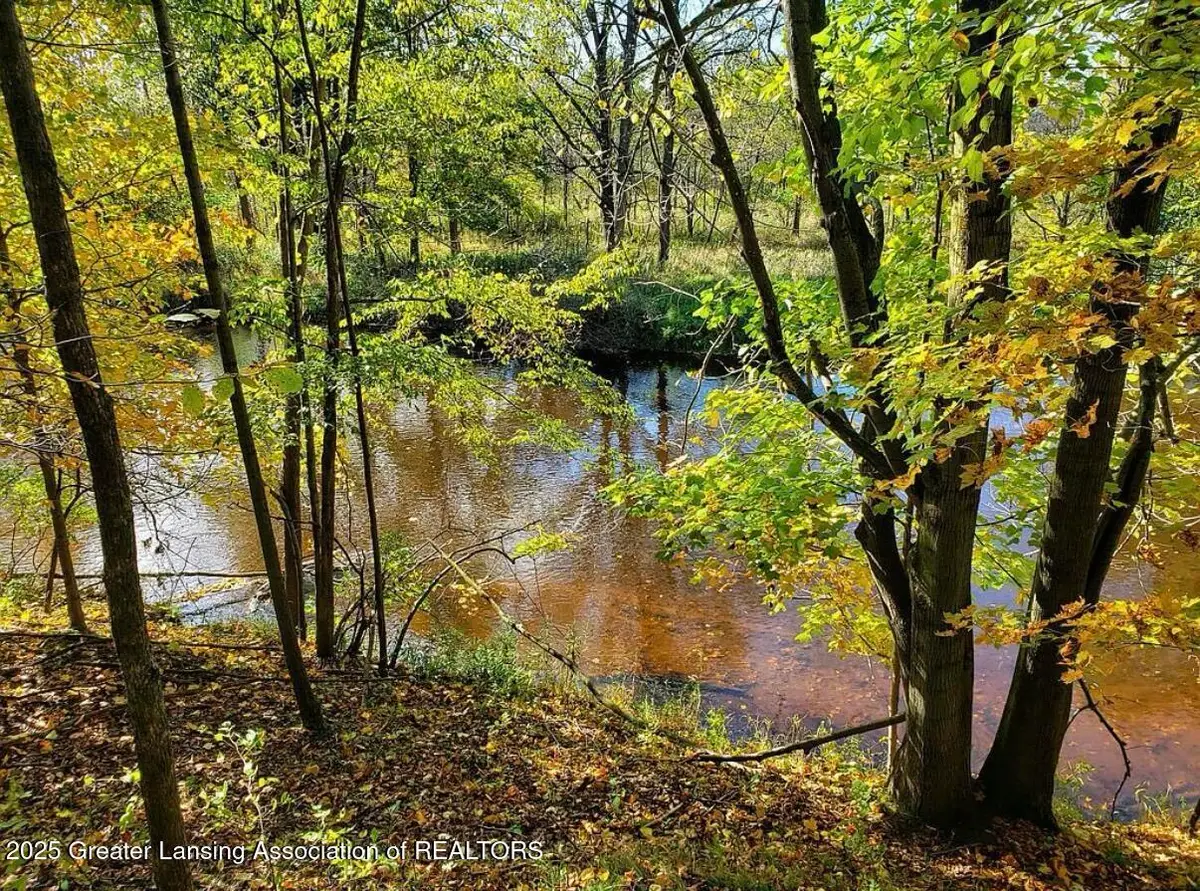 0 Chicory Lane, Portland, MI 48875 - Image #1