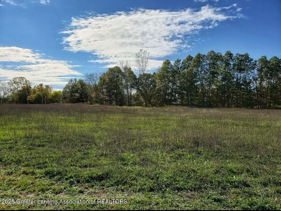 0 Chicory Lane, Portland, MI 48875 - Image #3