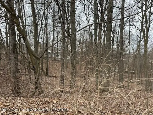 6285 Heathfield Drive, East Lansing, MI 48823 - Image #3