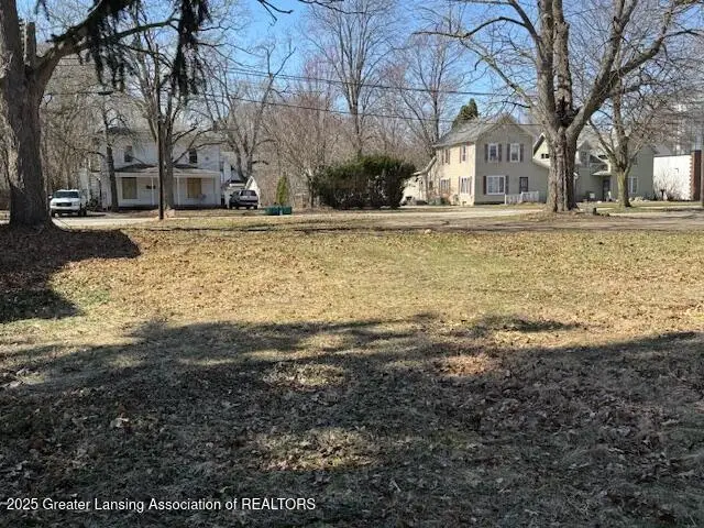 318 N Cochran Avenue, Charlotte, MI 48813 - Image #3