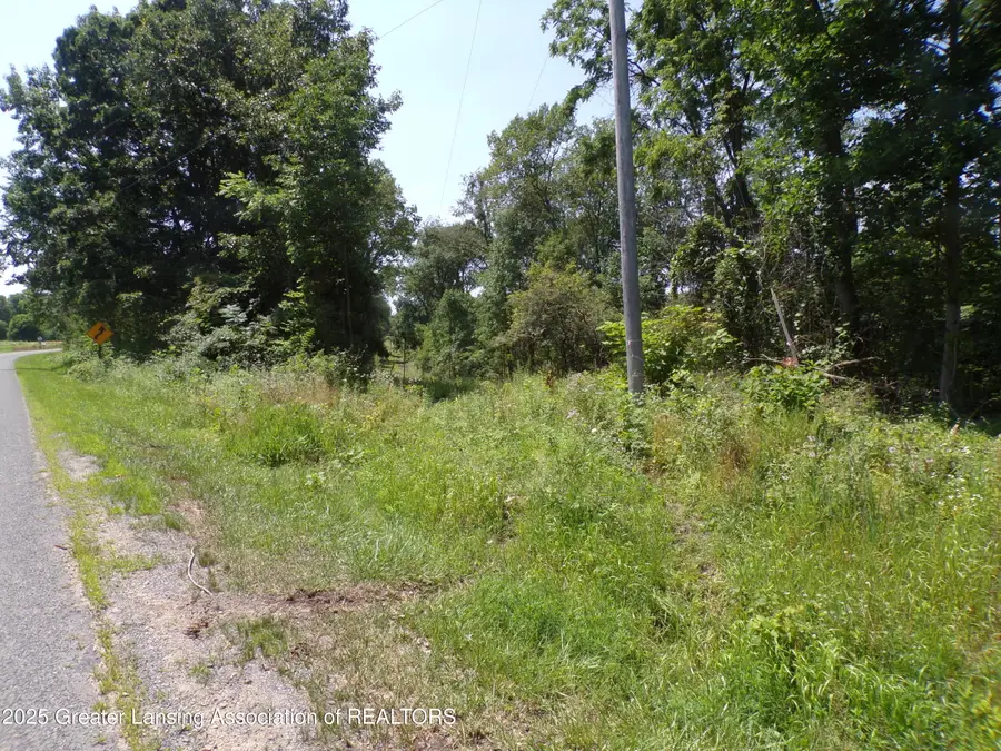 0 S Lacey Lake Road, Bellevue, MI 49021 - Image #3