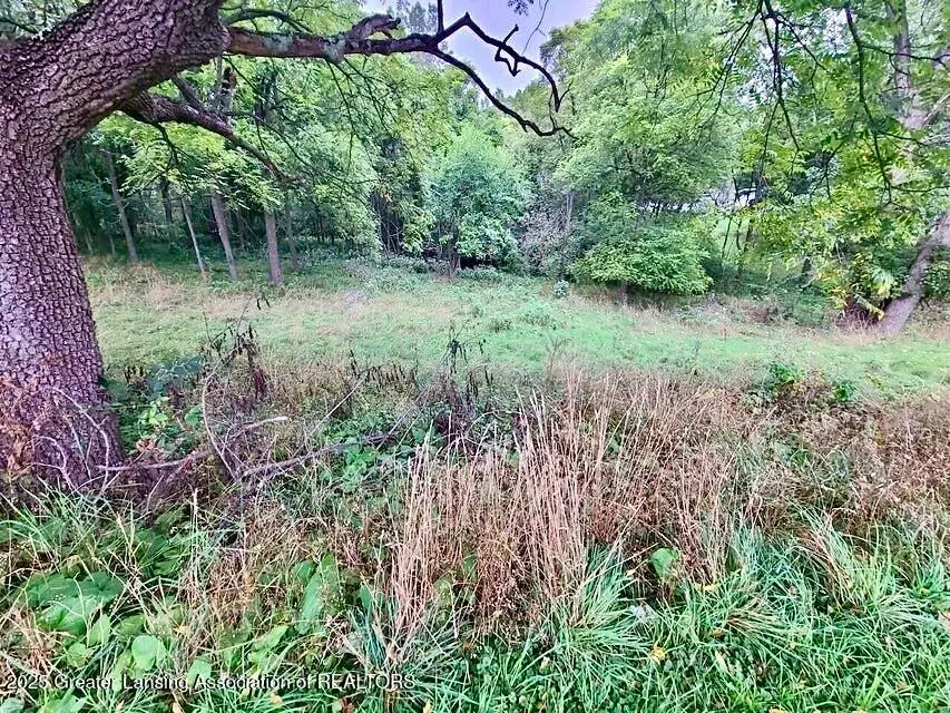 Lot B Lake Lansing Road, Haslett, MI 48840 - Image #3