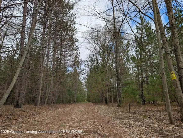 15744 Creamery Road Road, Kaleva, MI 49645