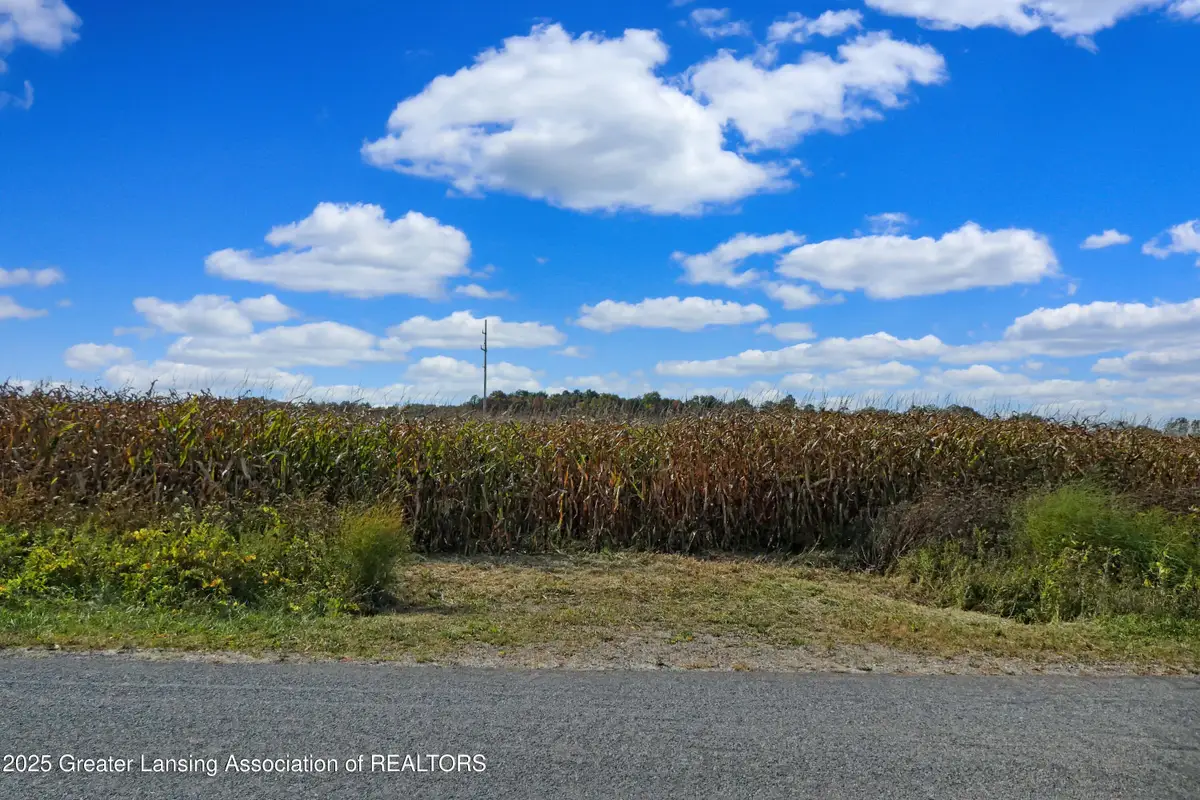 0 N Wellman Road, Woodland, MI 48897 - Image #1