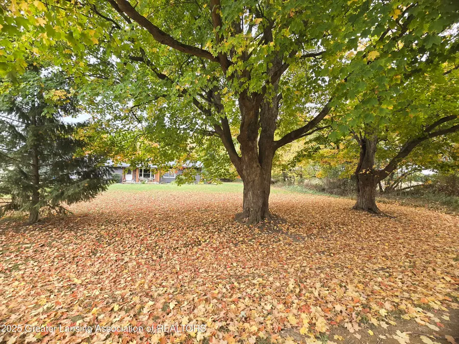 7694 N Meridian Road, Elsie, MI 48831 - Image #3