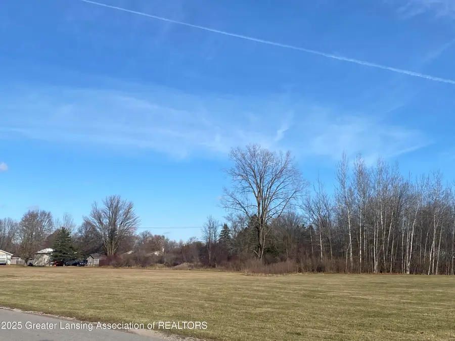 V/l Elm Street, Standish, MI 48658 - Image #3