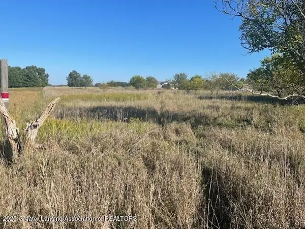 0 S Watson Road, St. Johns, MI 48879