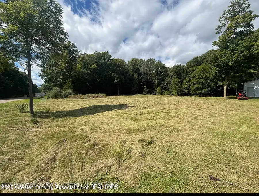 0 Thornapple, Perrinton, MI 48871 - Image #3