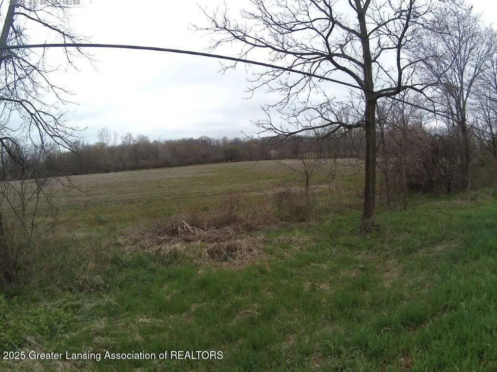 Vl Olds Road, Leslie, MI 49251 - Image #1