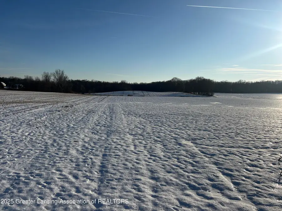 5378 Moyer Road, Webberville, MI 48892 - Image #3