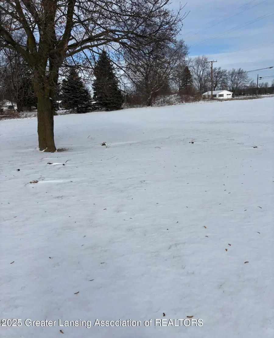 1100 W Lansing Road, Morrice, MI 48857 - Image #2