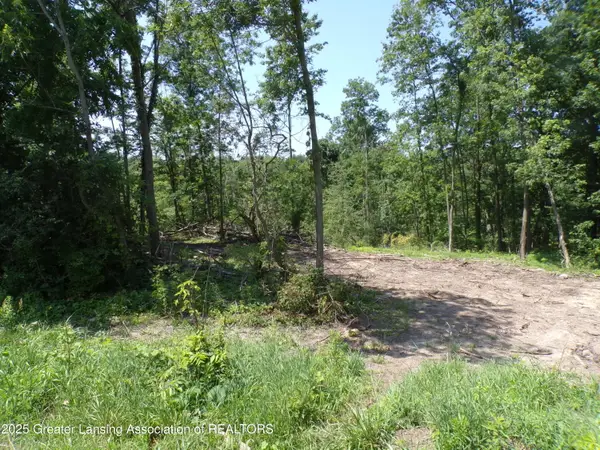 0 S Lacey Lake Road, Bellevue, MI 49021