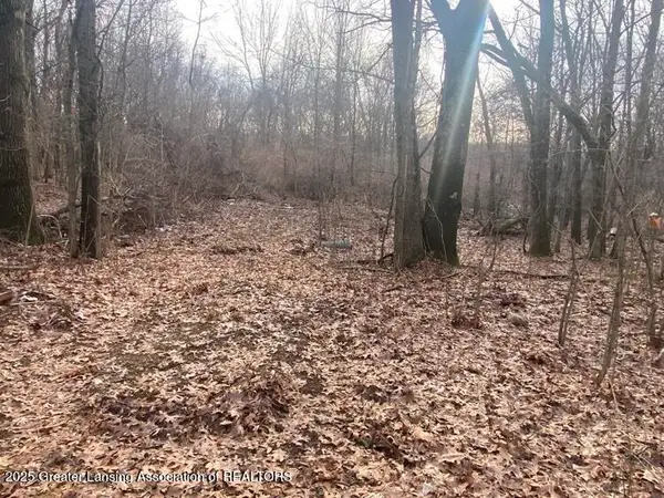 0 Kimberly Court, Onondaga, MI 49264