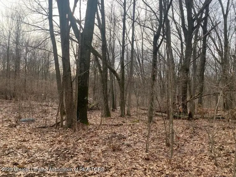 0 Kimberly Court, Onondaga, MI 49264 - Image #2