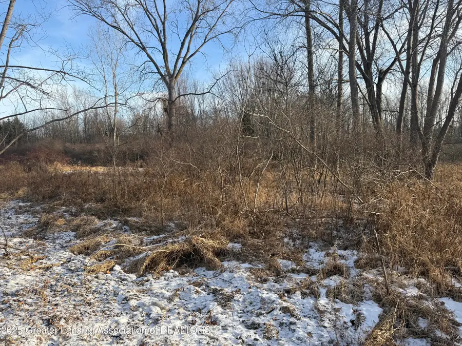 0 Eifert, Holt, MI 48842 - Image #3