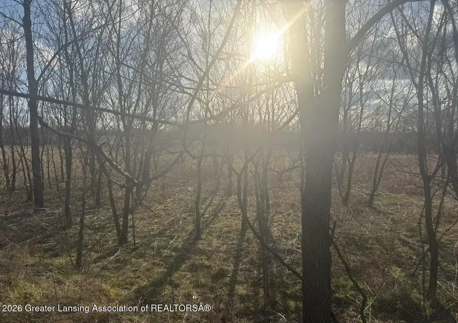 Lots 9 &10 Eagle Pass Drive, Eaton Rapids, MI 48827 - Image #2